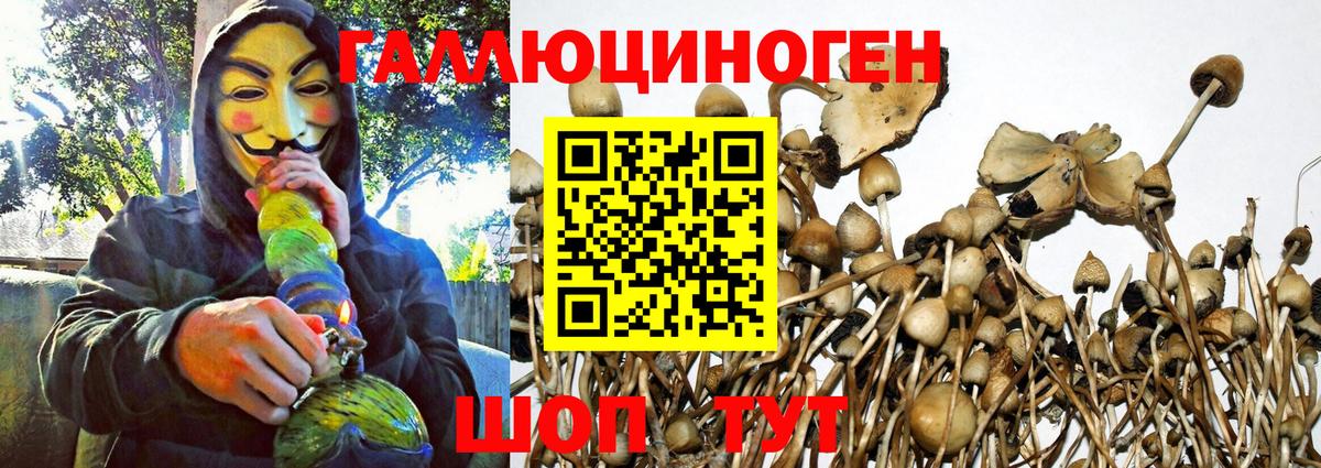 Галлюциногенные грибы ЛСД  Вход с VPN  Мичуринск 