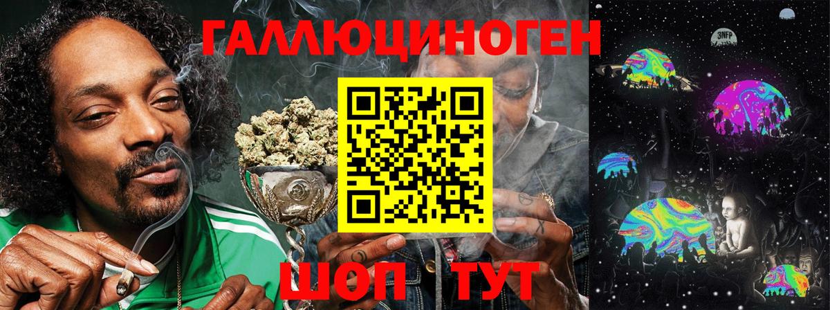 Галлюциногенные грибы Cubensis Мичуринск